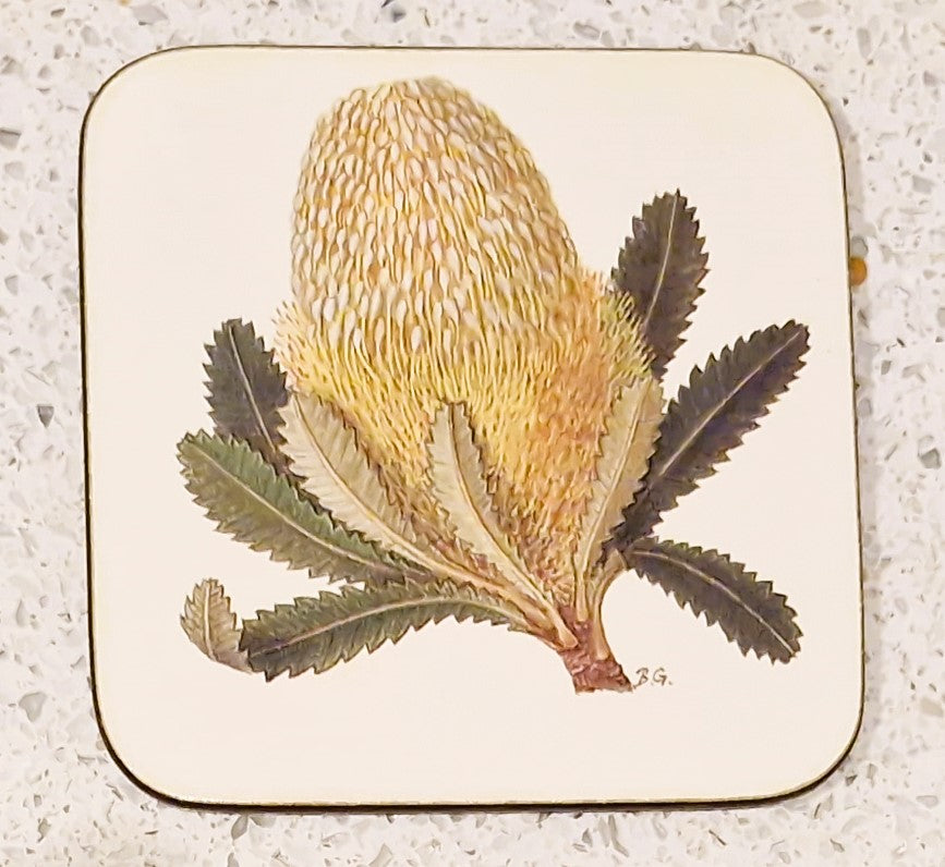 Vintage Australian Floral Coasters, Pettis Studio, Original Box, Australian Flowers, Botanical, Australian Plants