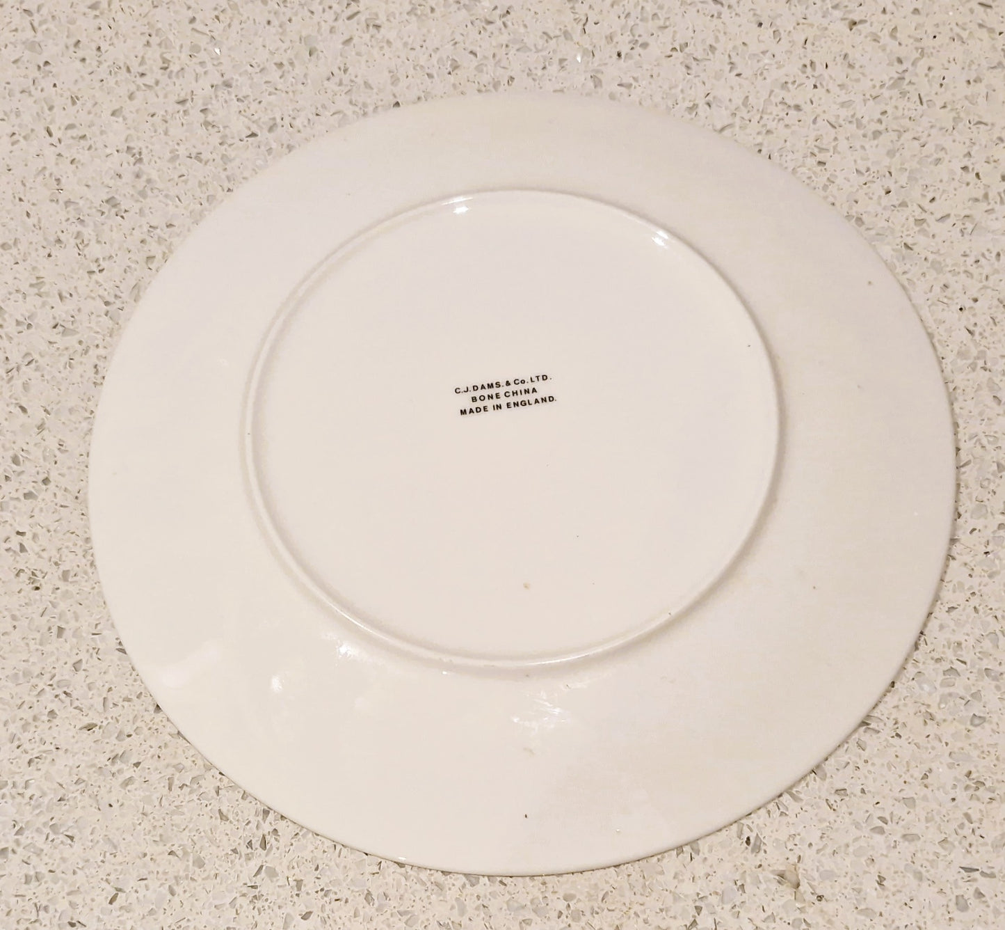 Bone China Colourful Birds Of Britain Plate, Burlington Art, Decorative Plate, Nuthatch, Porcelian: C.J. Dams and Co Ltd, England