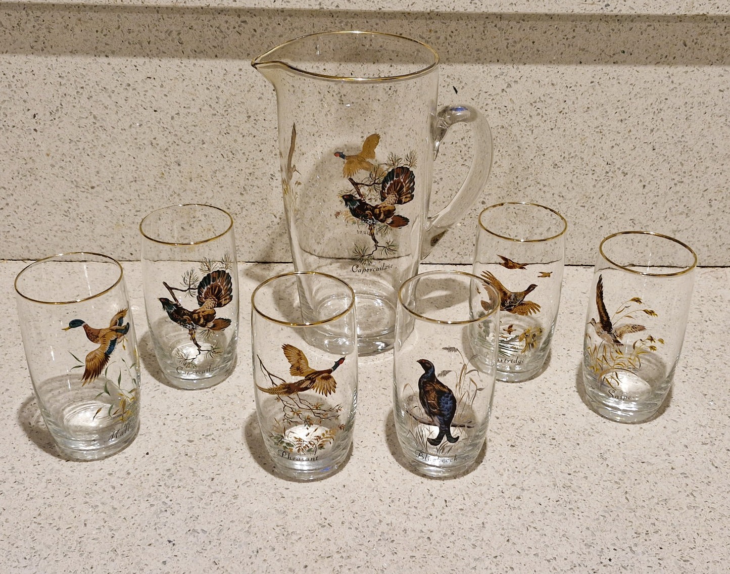 Game Shooting, Game Birds, Pheasant, Partridge, Duck, Jug, Pitcher, Decanter, Glasses, Set, RARE, Glass, Vintage, Glorious 12th, IMMACULATE