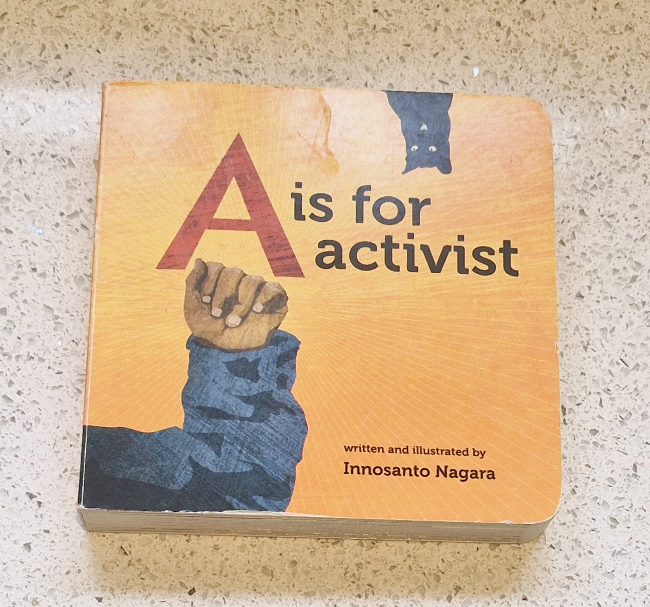 A is for Activist Board book, INNOSANTO NAGARA, Picture Book, 12 Dec. 2013