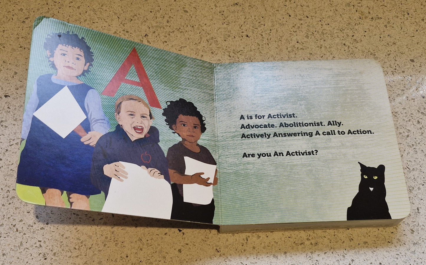 A is for Activist Board book, INNOSANTO NAGARA, Picture Book, 12 Dec. 2013