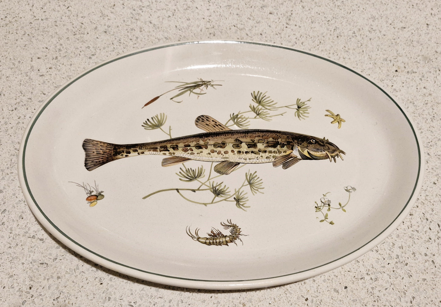 Fish Serving Platter, Old English Ironstone, Simpsons, English Ironstone, Spined Loach, Fish Serving Platter, Course Fishing, Fly Fisherman