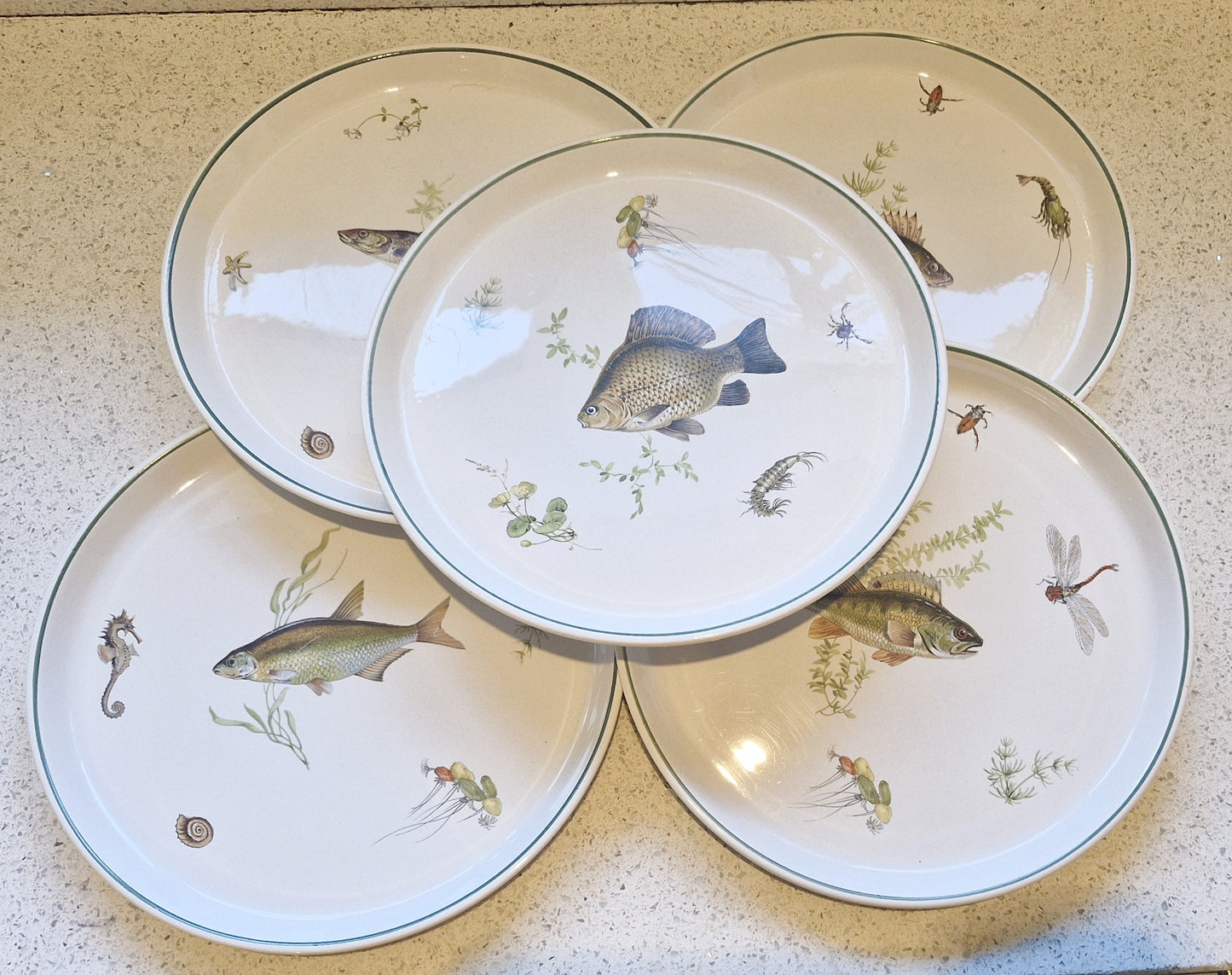 Vintage Fish Dinner Service, rare, Individually Painted plates