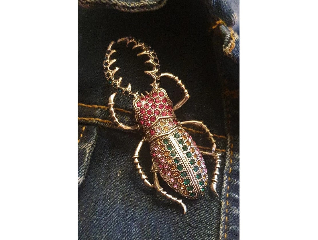 Beetle, Broach, NEW, Insect Jewellery, Quirky, Unusual, Pink, Green,