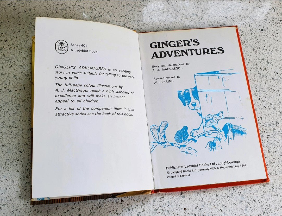 Gingers Adventures, Rhyming Stories, Macgregor, Perring, Vintage Childrens Book