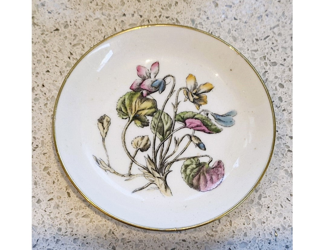 MINTON Plate, Minton Dish, flower, Botanical, Bone China, Gilt edged, Made in England