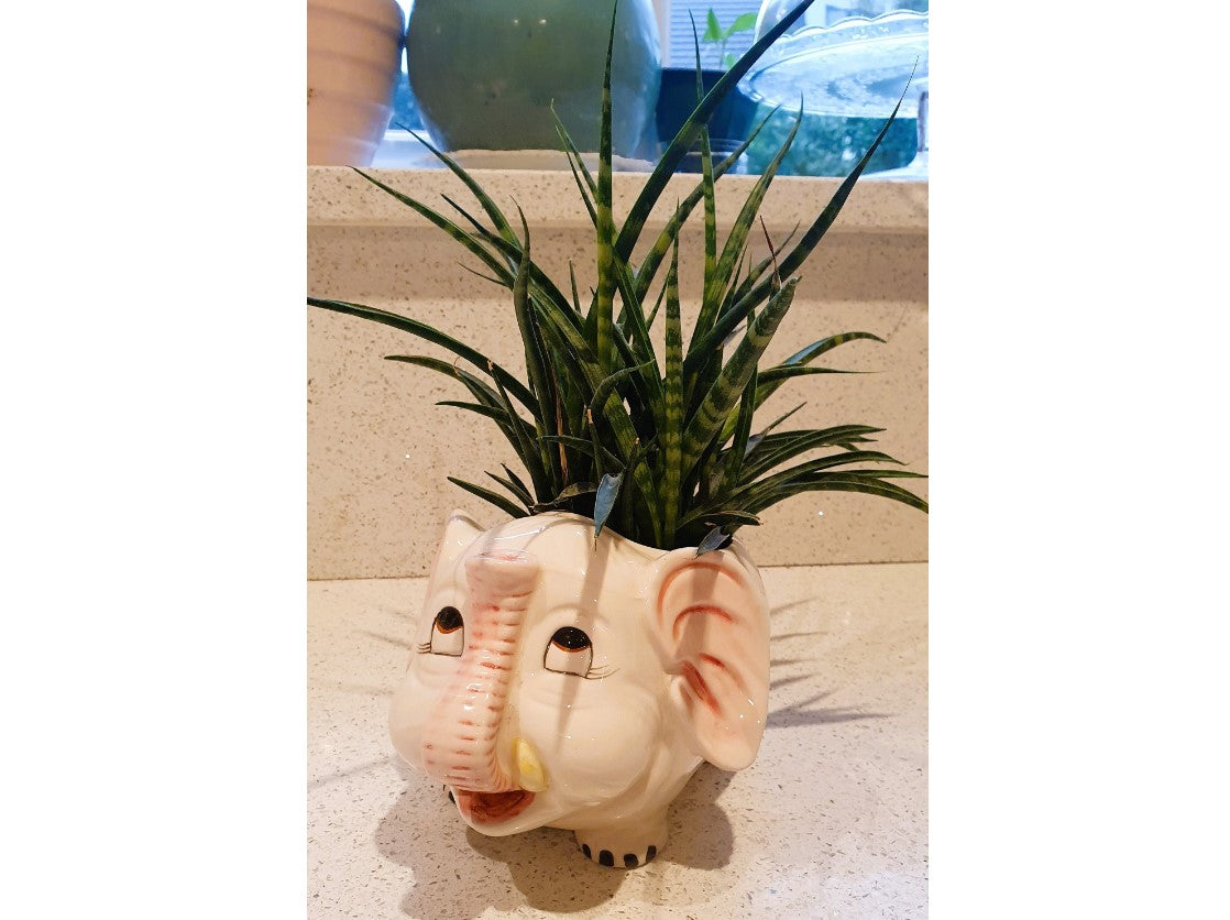 Vintage, Elephant shaped plant pot, elephant shaped Planter, Kitsch, Quirky, Anthropomorphic, Plant pot, Planter