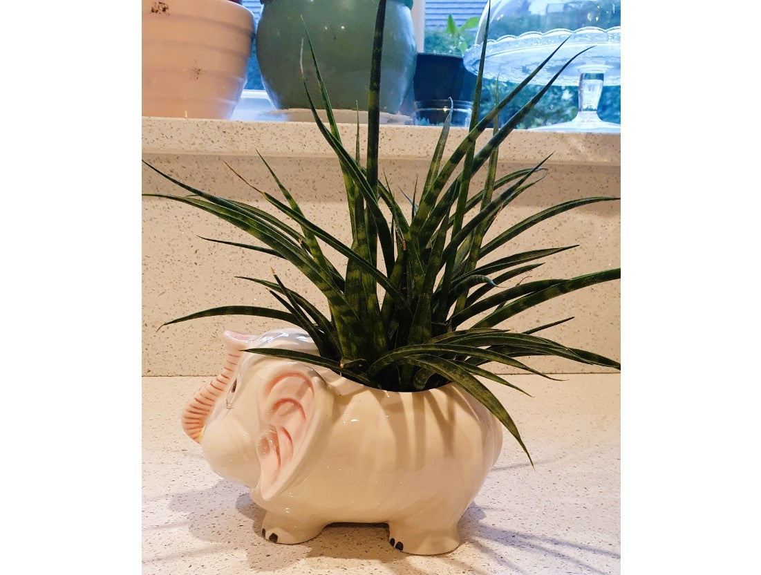 Vintage, Elephant shaped plant pot, elephant shaped Planter, Kitsch, Quirky, Anthropomorphic, Plant pot, Planter