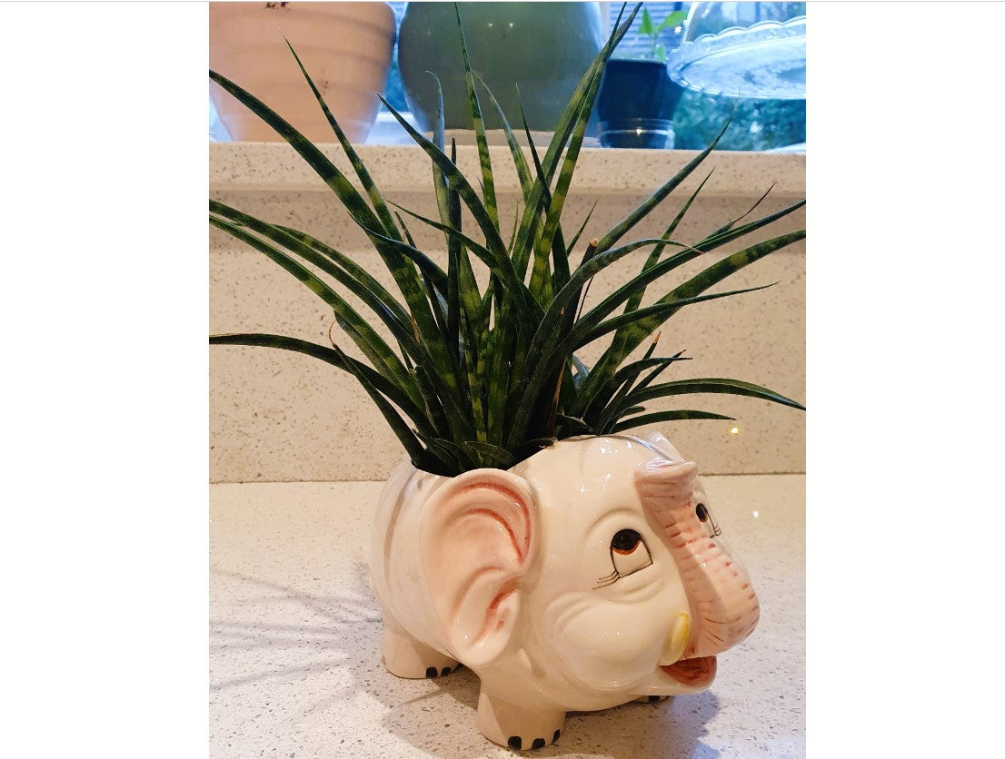 Vintage, Elephant shaped plant pot, elephant shaped Planter, Kitsch, Quirky, Anthropomorphic, Plant pot, Planter