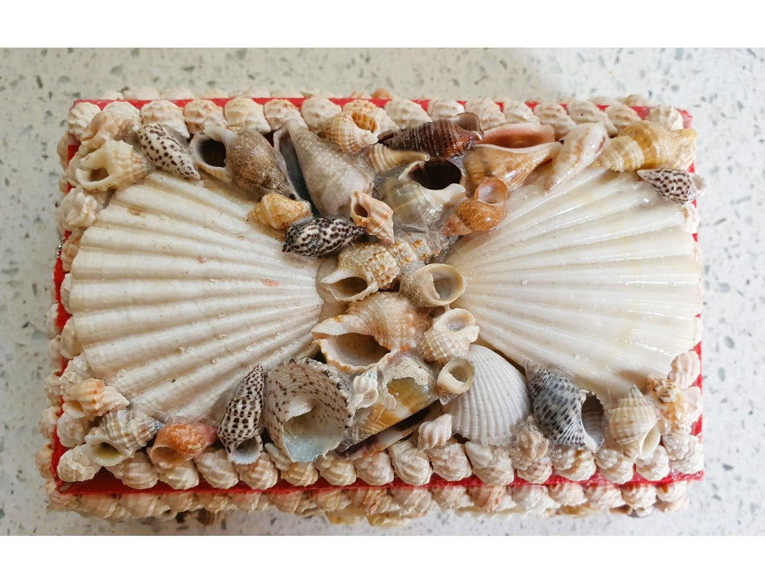 Shell Covered Box, Shell Covered, Jewellery Box, Jewelry Box, Vintage Sea Shell Box, Shell Trinket Box, Sea Shells