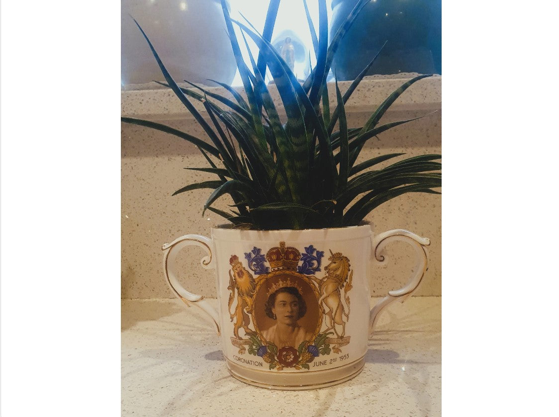 Large 2 Handled Royal Coronation Cup, Plant Pot, Planter, Queen Elizabeth II, Large Loving Cup. British Royal Family, English