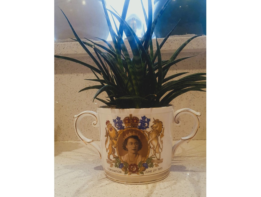 Large 2 Handled Royal Coronation Cup, Plant Pot, Planter, Queen Elizabeth II, Large Loving Cup. British Royal Family, English