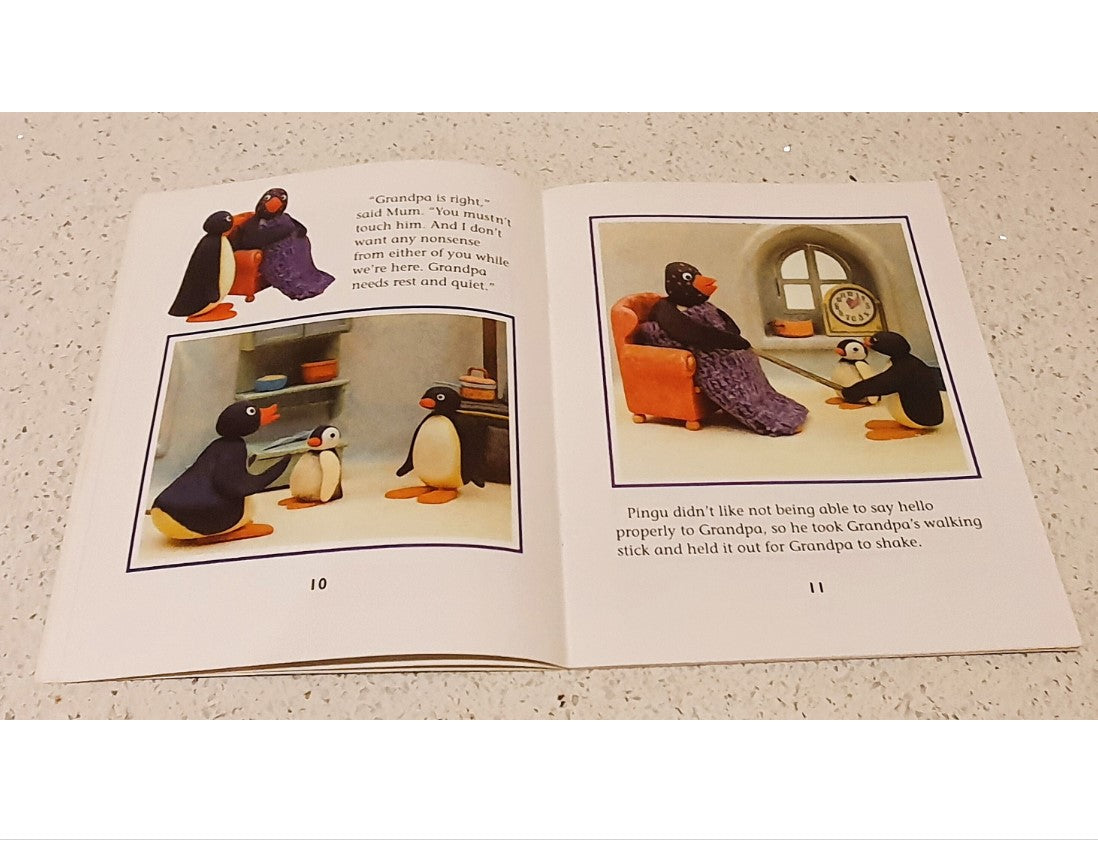 Pingu and The Spotty Day, Pingu Book