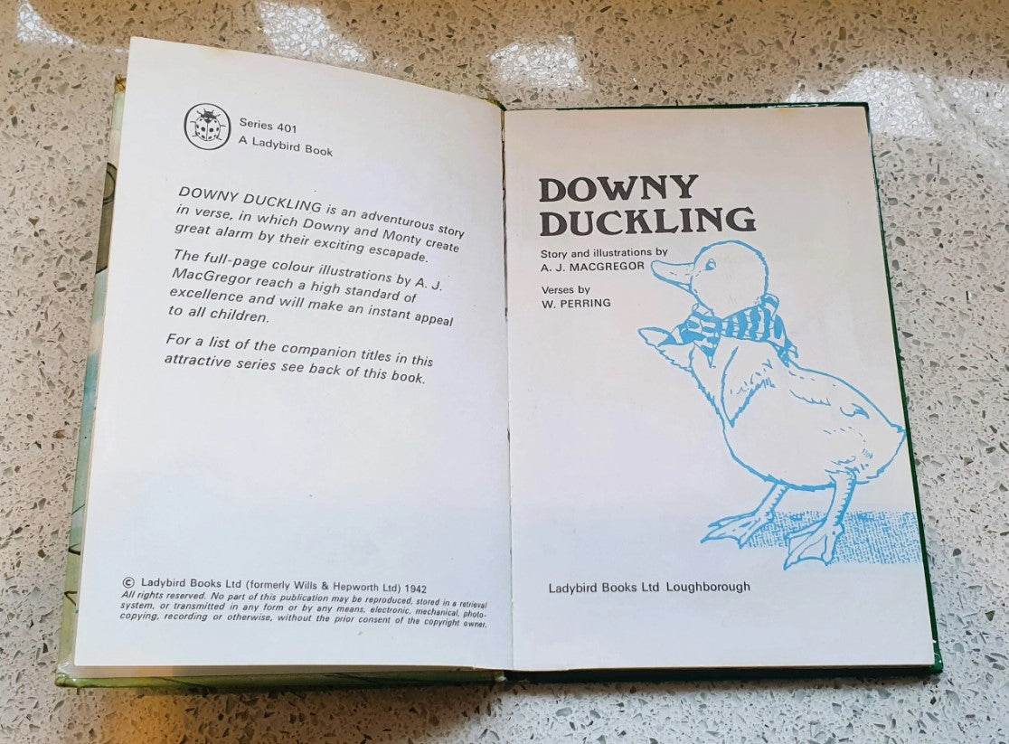 Downey Duckling Lady Bird Book