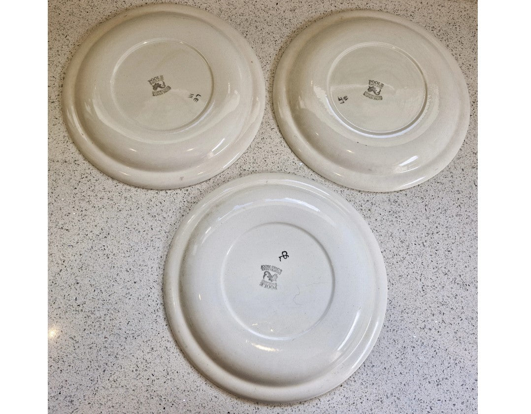 Vintage Hand Painted, Poole Pottery Plate, 10 inch, Dinner Plate, Poole Pottery, Hand Painted, Floral, Bright, Abstract, mid century