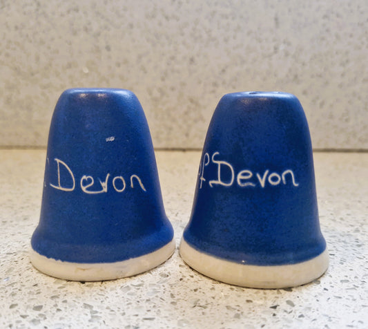 Vintage 'The Blue of Devon' Salt and Pepper Shakers - Studio Pottery