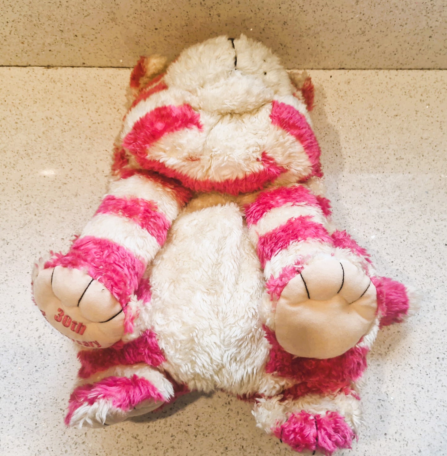 RARE, Vintage Bagpuss Hot water Bottle: Annaversary Edition, Immaculate condition