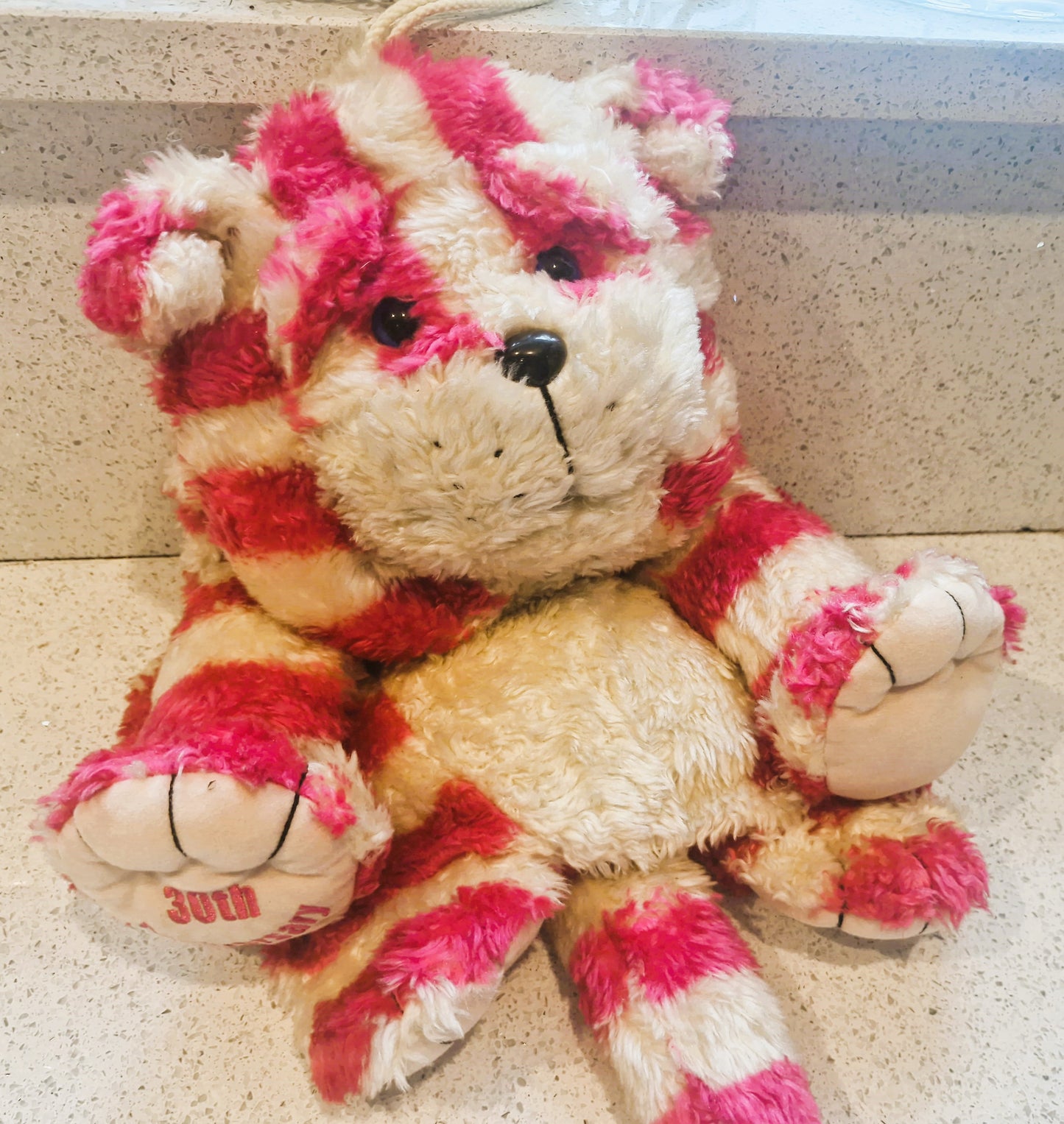 RARE, Vintage Bagpuss Hot water Bottle: Annaversary Edition, Immaculate condition