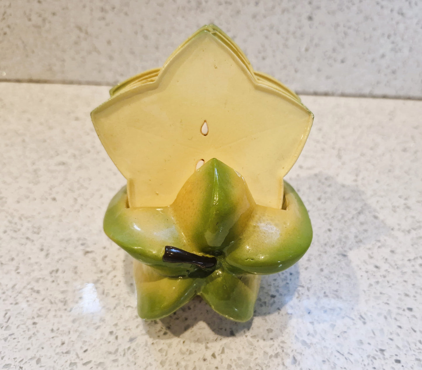 Vintage Starfruit Drinks Coasters, Quirky, Drinks Coasters, Set, Holder, Unique