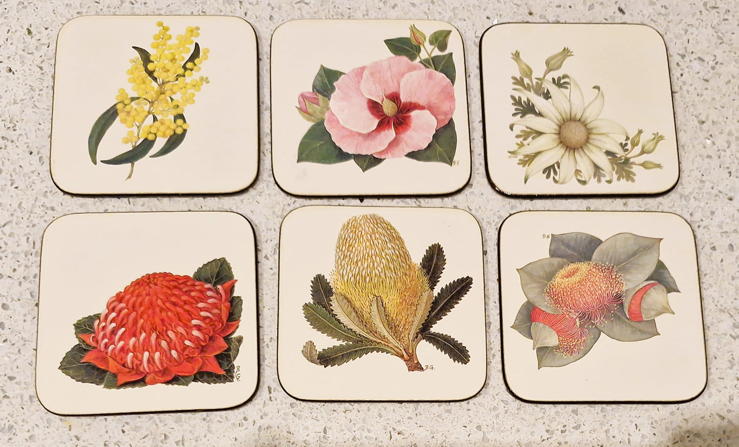 Vintage Australian Floral Coasters, Pettis Studio, Original Box, Australian Flowers, Botanical, Australian Plants