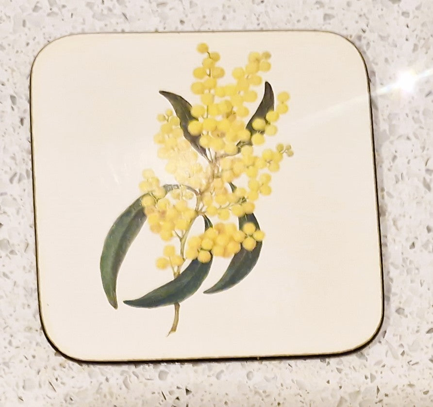 Vintage Australian Floral Coasters, Pettis Studio, Original Box, Australian Flowers, Botanical, Australian Plants