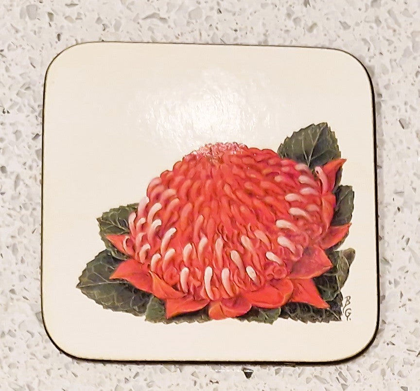 Vintage Australian Floral Coasters, Pettis Studio, Original Box, Australian Flowers, Botanical, Australian Plants