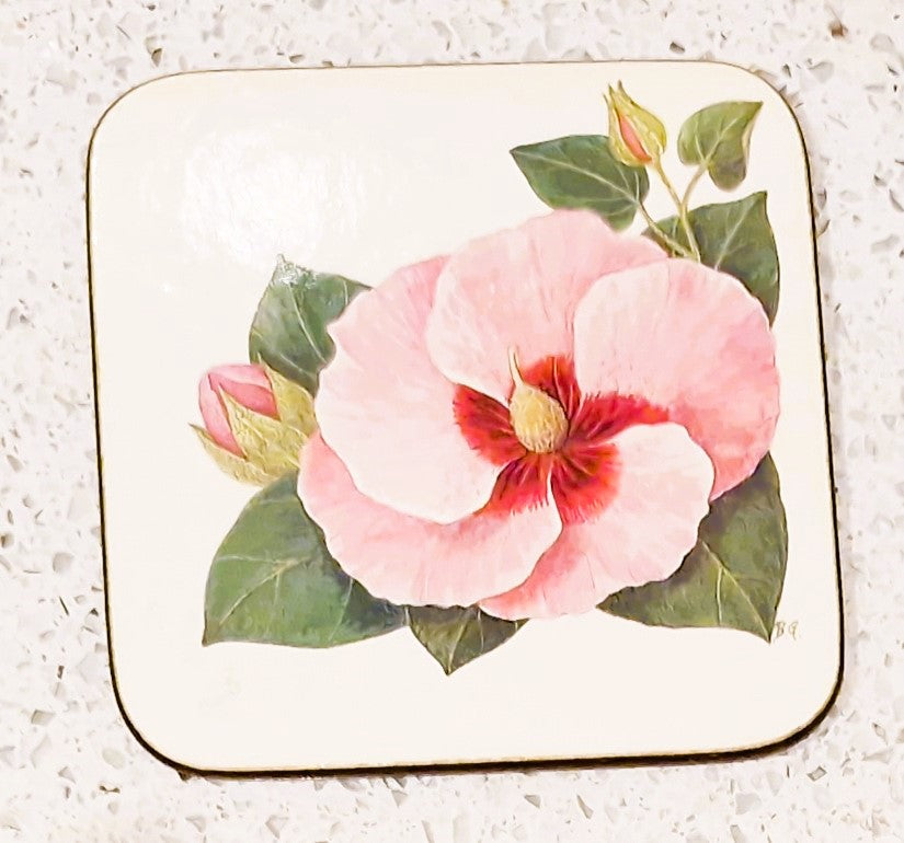 Vintage Australian Floral Coasters, Pettis Studio, Original Box, Australian Flowers, Botanical, Australian Plants