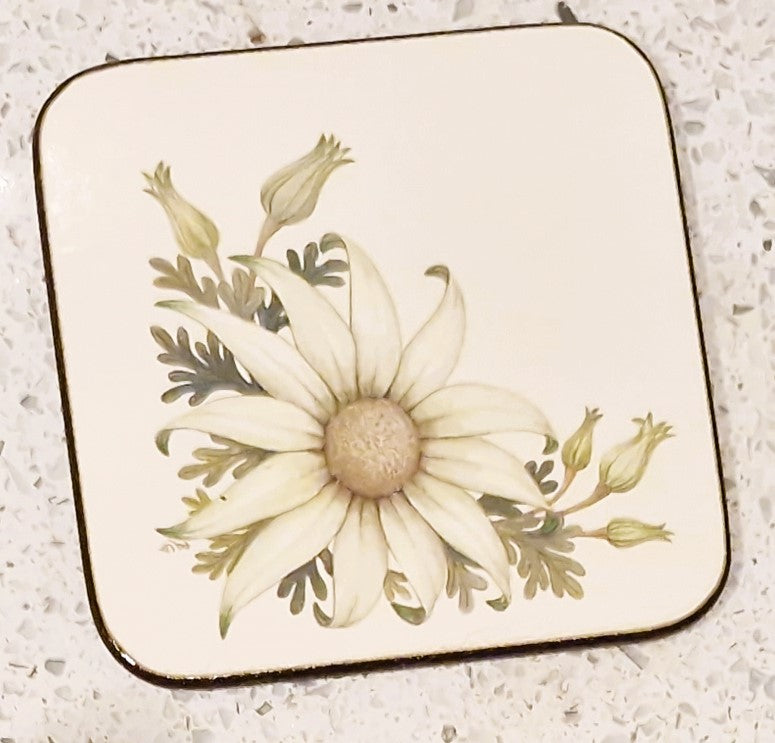 Vintage Australian Floral Coasters, Pettis Studio, Original Box, Australian Flowers, Botanical, Australian Plants