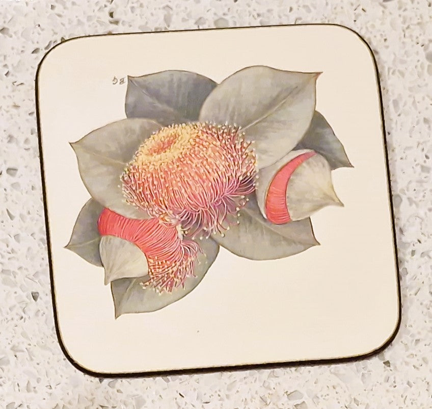 Vintage Australian Floral Coasters, Pettis Studio, Original Box, Australian Flowers, Botanical, Australian Plants