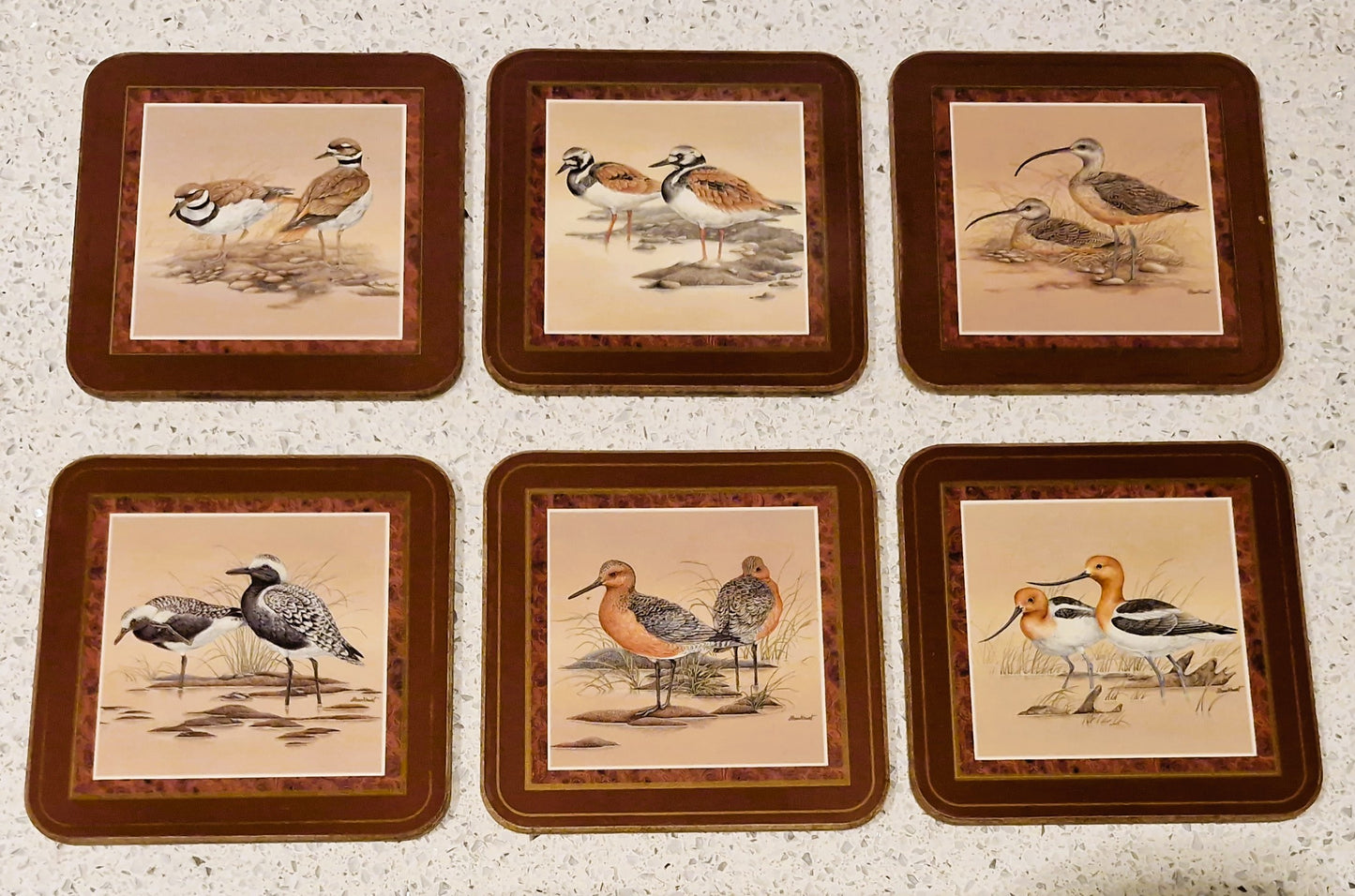 Pimpernel Shore Birds Coasters: Drinks Mats, Set, Wild Birds,