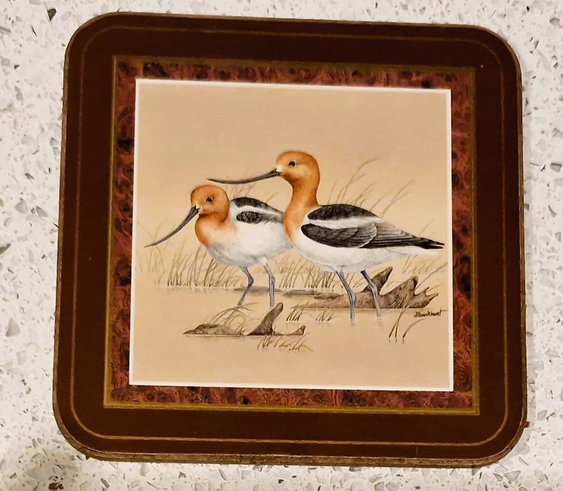 Pimpernel Shore Birds Coasters: Drinks Mats, Set, Wild Birds,