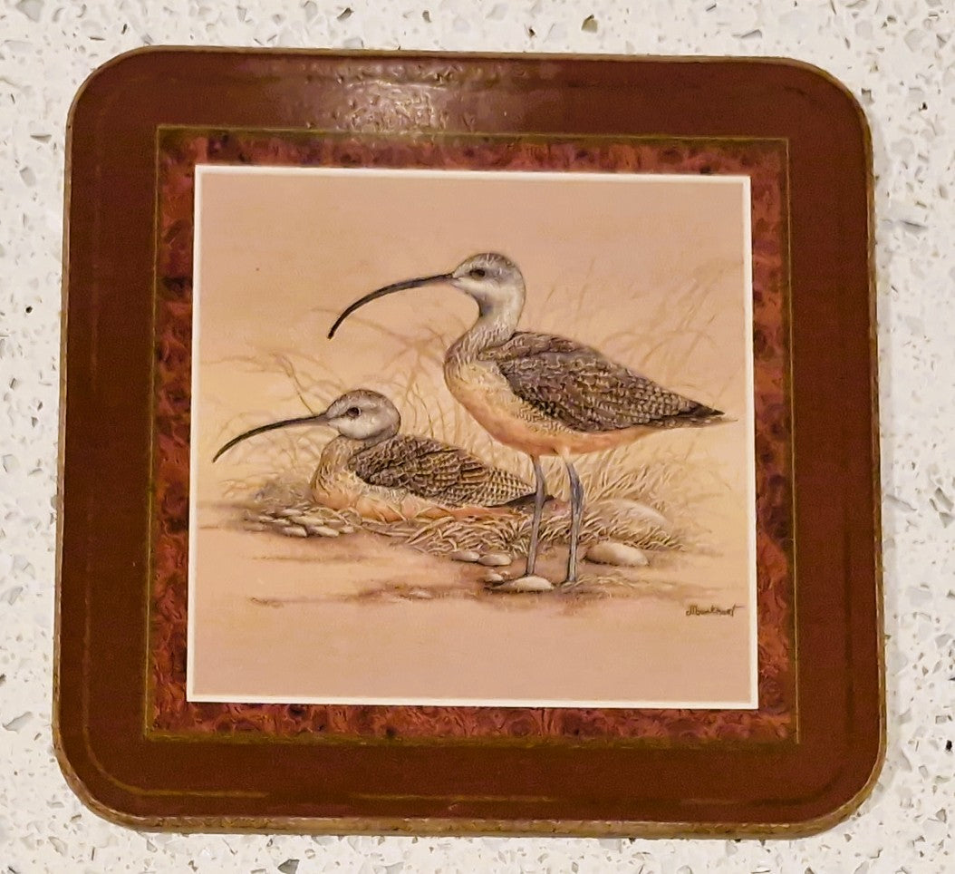 Pimpernel Shore Birds Coasters: Drinks Mats, Set, Wild Birds,