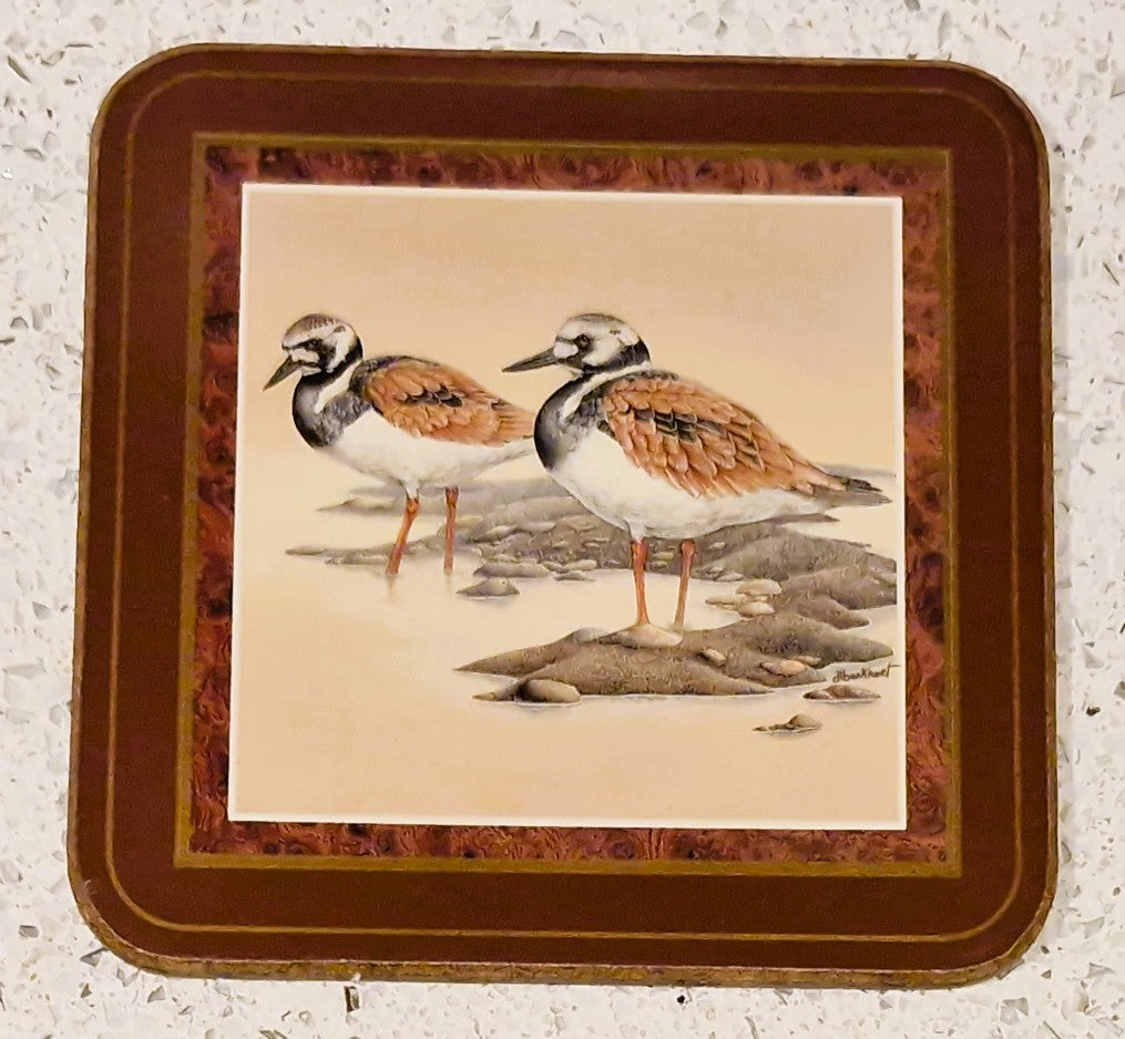 Pimpernel Shore Birds Coasters: Drinks Mats, Set, Wild Birds,