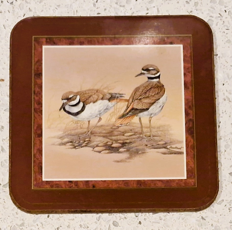 Pimpernel Shore Birds Coasters: Drinks Mats, Set, Wild Birds,