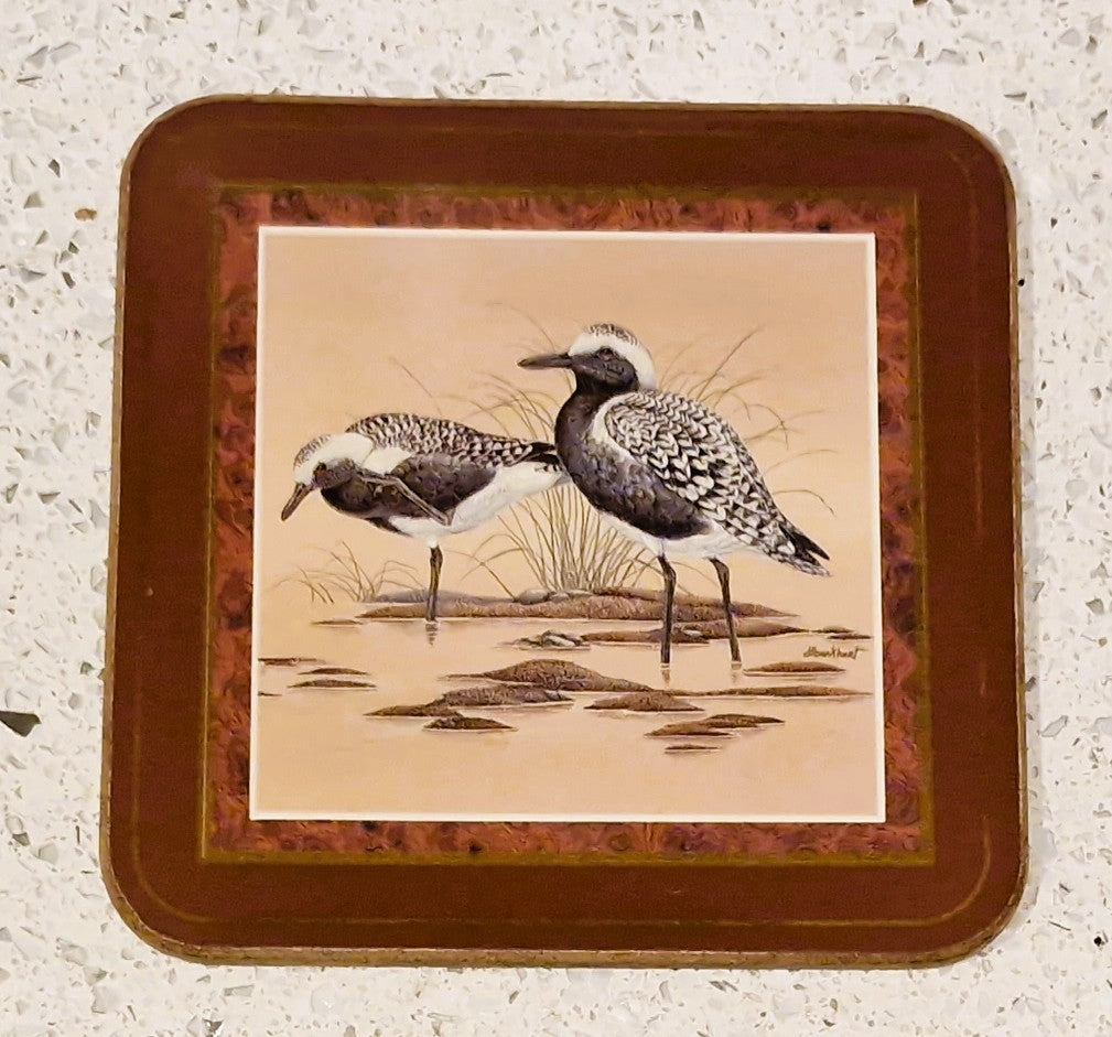 Pimpernel Shore Birds Coasters: Drinks Mats, Set, Wild Birds,