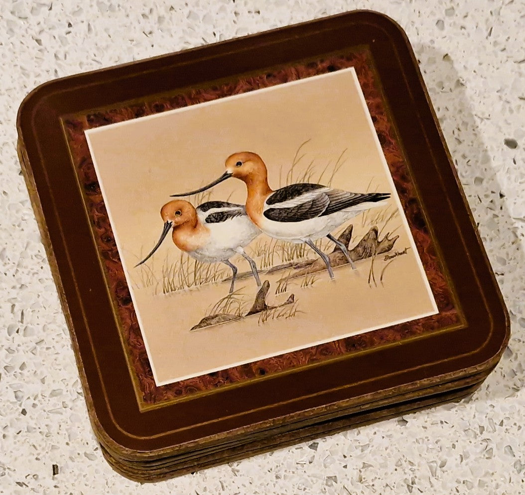 Pimpernel Shore Birds Coasters: Drinks Mats, Set, Wild Birds,