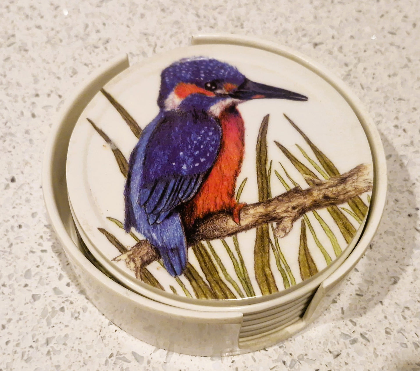 Set of Six Coasters, UK Garden Birds, with holder, Complete set of 6, 10cms 4"