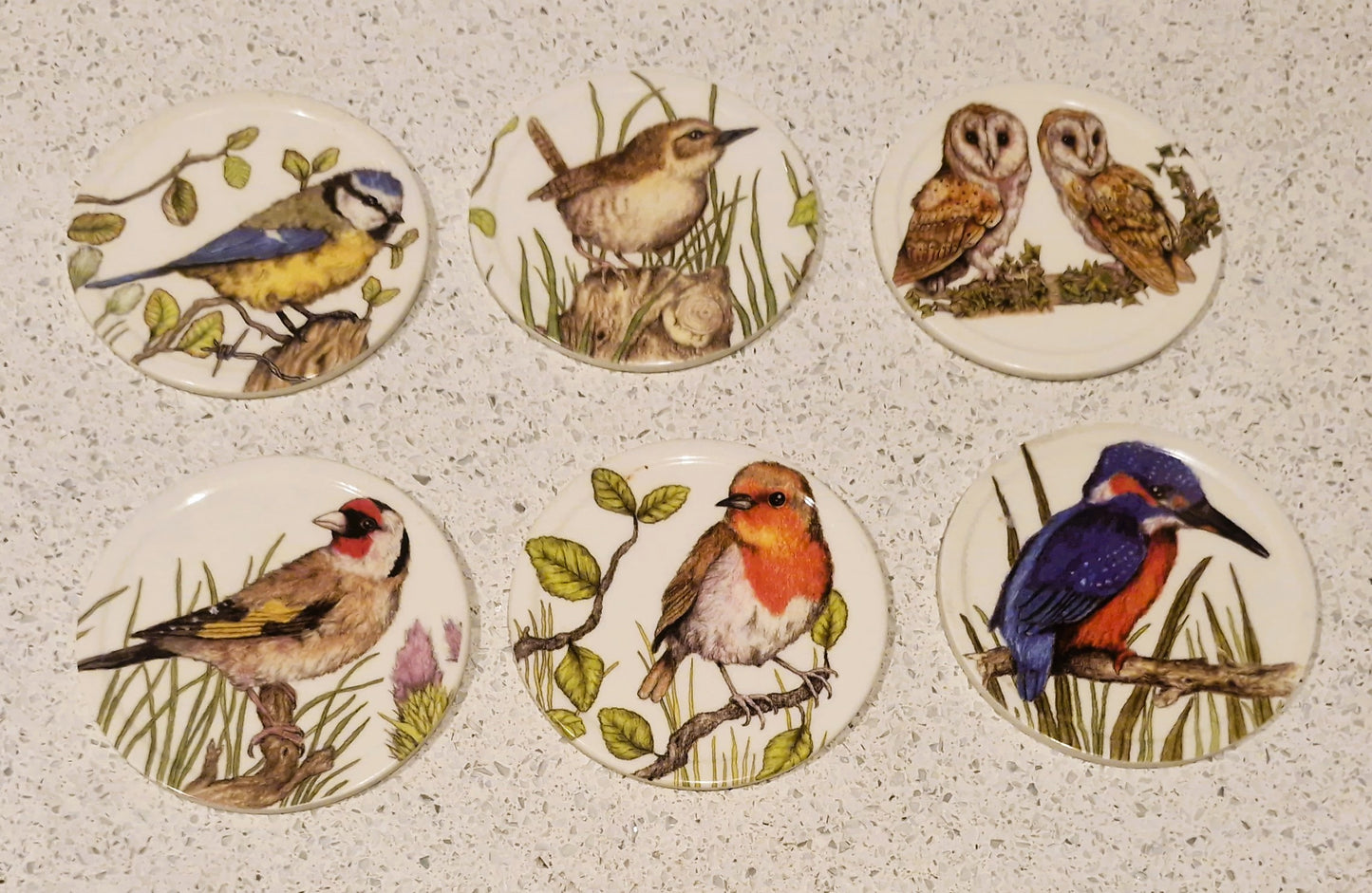 Set of Six Coasters, UK Garden Birds, with holder, Complete set of 6, 10cms 4"