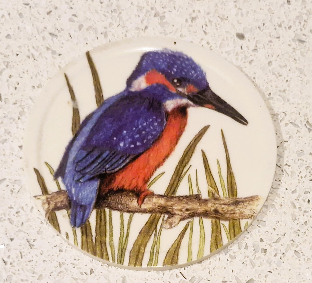 Set of Six Coasters, UK Garden Birds, with holder, Complete set of 6, 10cms 4"