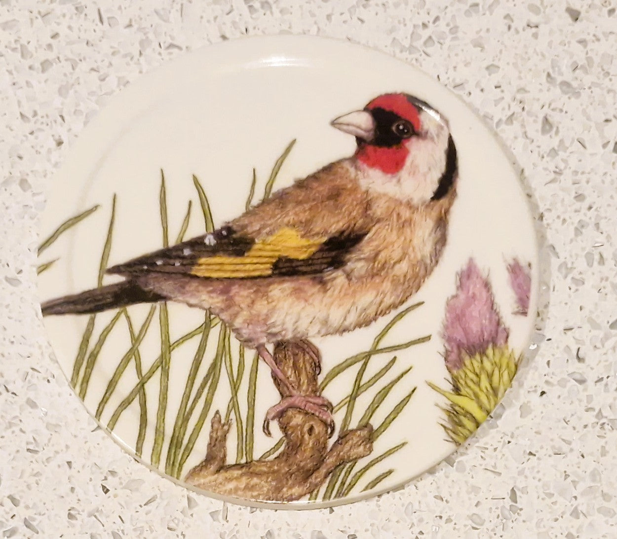 Set of Six Coasters, UK Garden Birds, with holder, Complete set of 6, 10cms 4"
