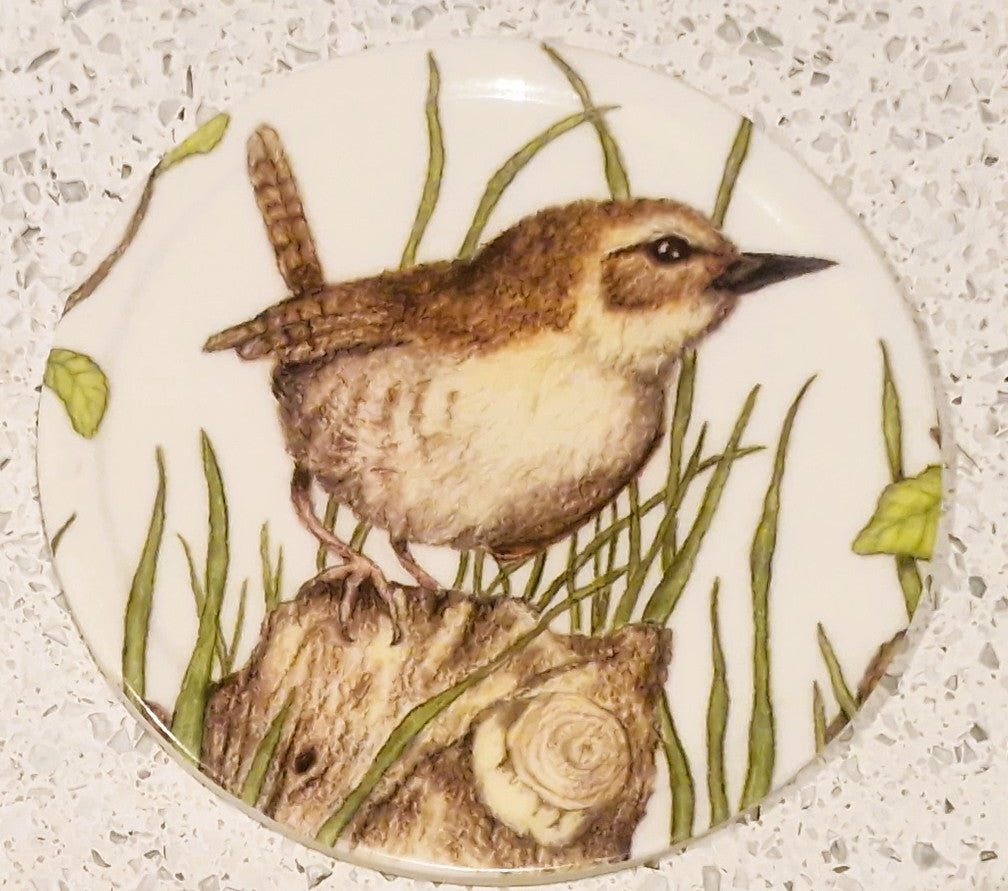 Set of Six Coasters, UK Garden Birds, with holder, Complete set of 6, 10cms 4"