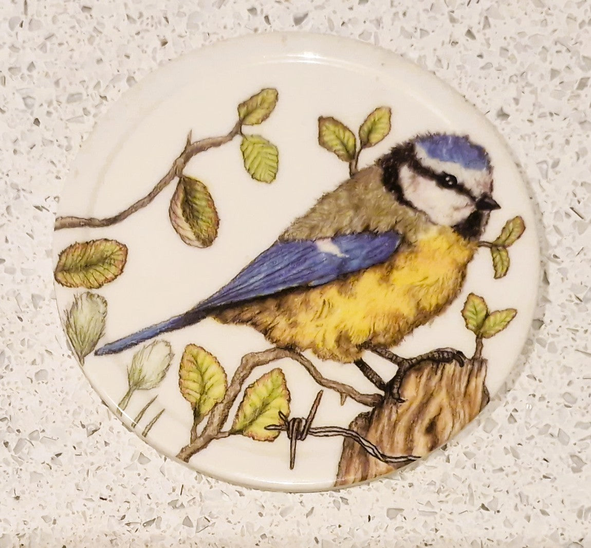 Set of Six Coasters, UK Garden Birds, with holder, Complete set of 6, 10cms 4"