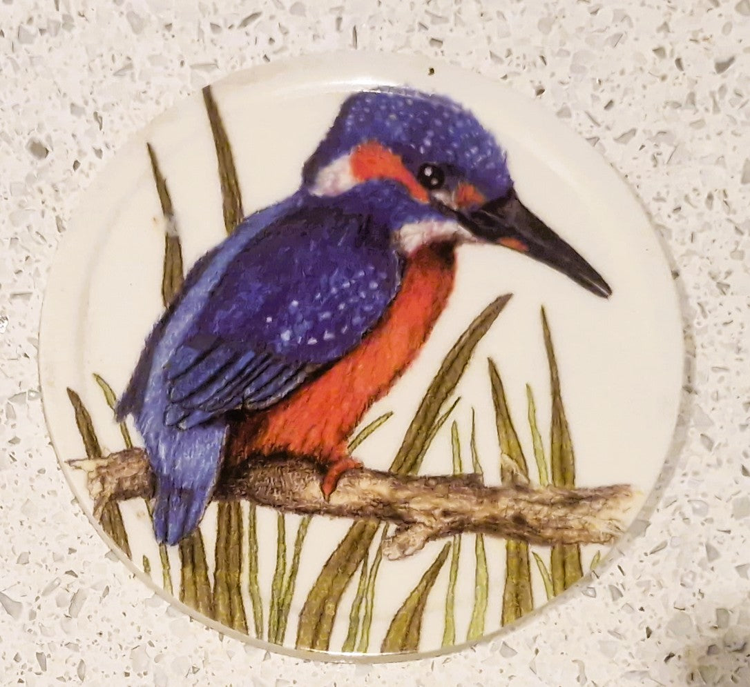 Set of Six Coasters, UK Garden Birds, with holder, Complete set of 6, 10cms 4"