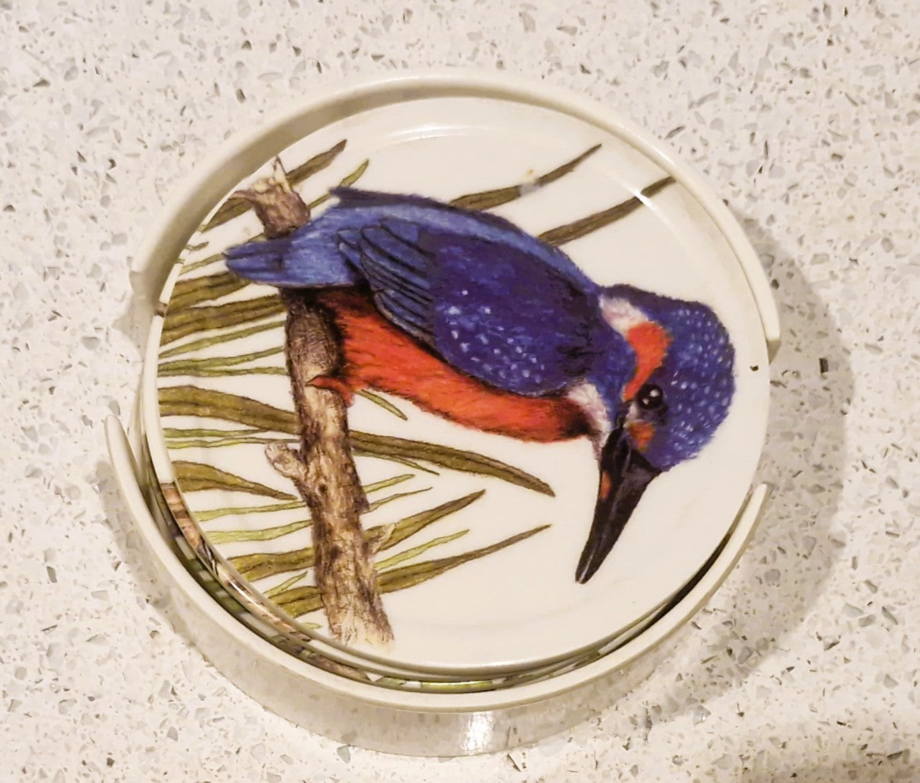 Set of Six Coasters, UK Garden Birds, with holder, Complete set of 6, 10cms 4"