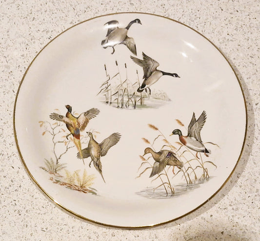 Wildfowl, Wild Ducks Plate, Pheasants, Britannia Designs, Dartmouth Pottery, England
