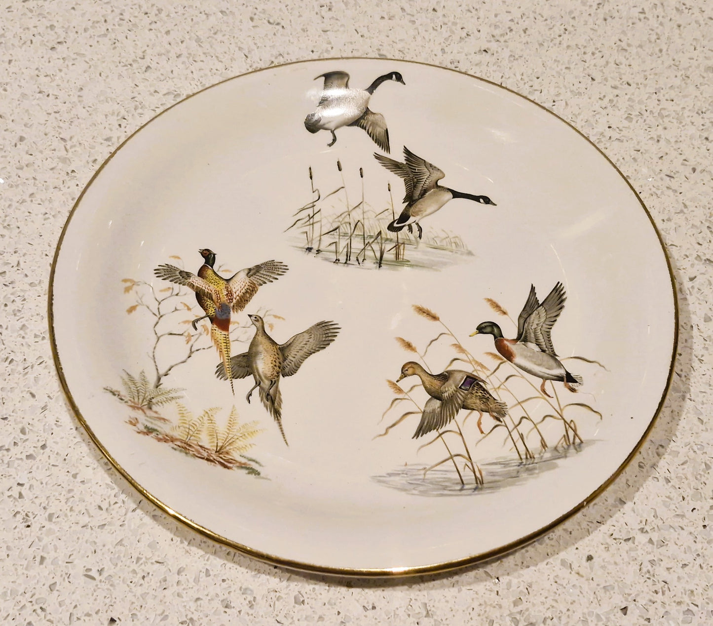 Wildfowl, Wild Ducks Plate, Pheasants, Britannia Designs, Dartmouth Pottery, England