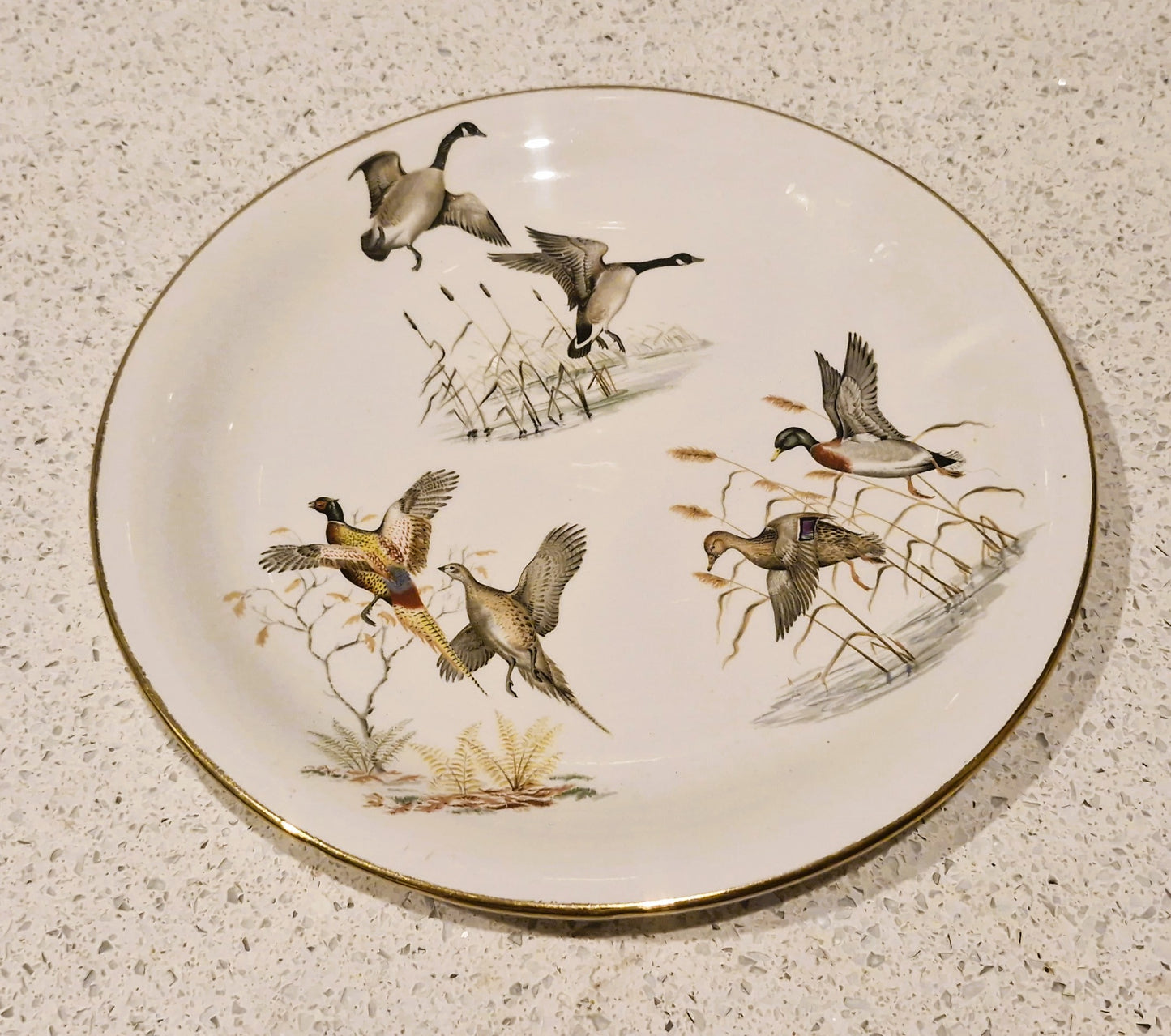 Wildfowl, Wild Ducks Plate, Pheasants, Britannia Designs, Dartmouth Pottery, England