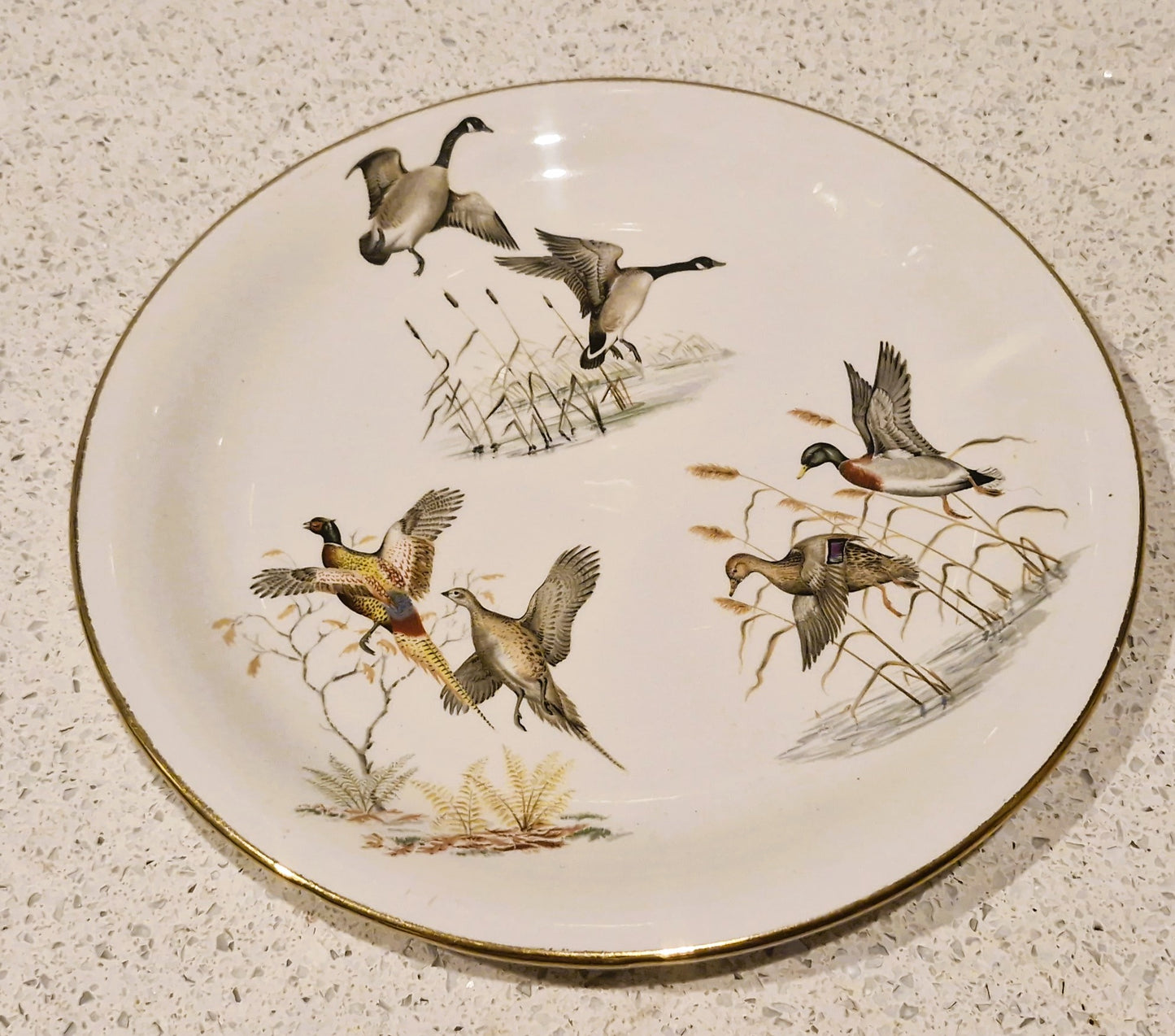 Wildfowl, Wild Ducks Plate, Pheasants, Britannia Designs, Dartmouth Pottery, England