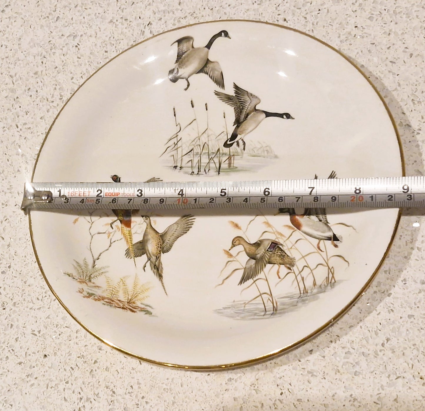 Wildfowl, Wild Ducks Plate, Pheasants, Britannia Designs, Dartmouth Pottery, England