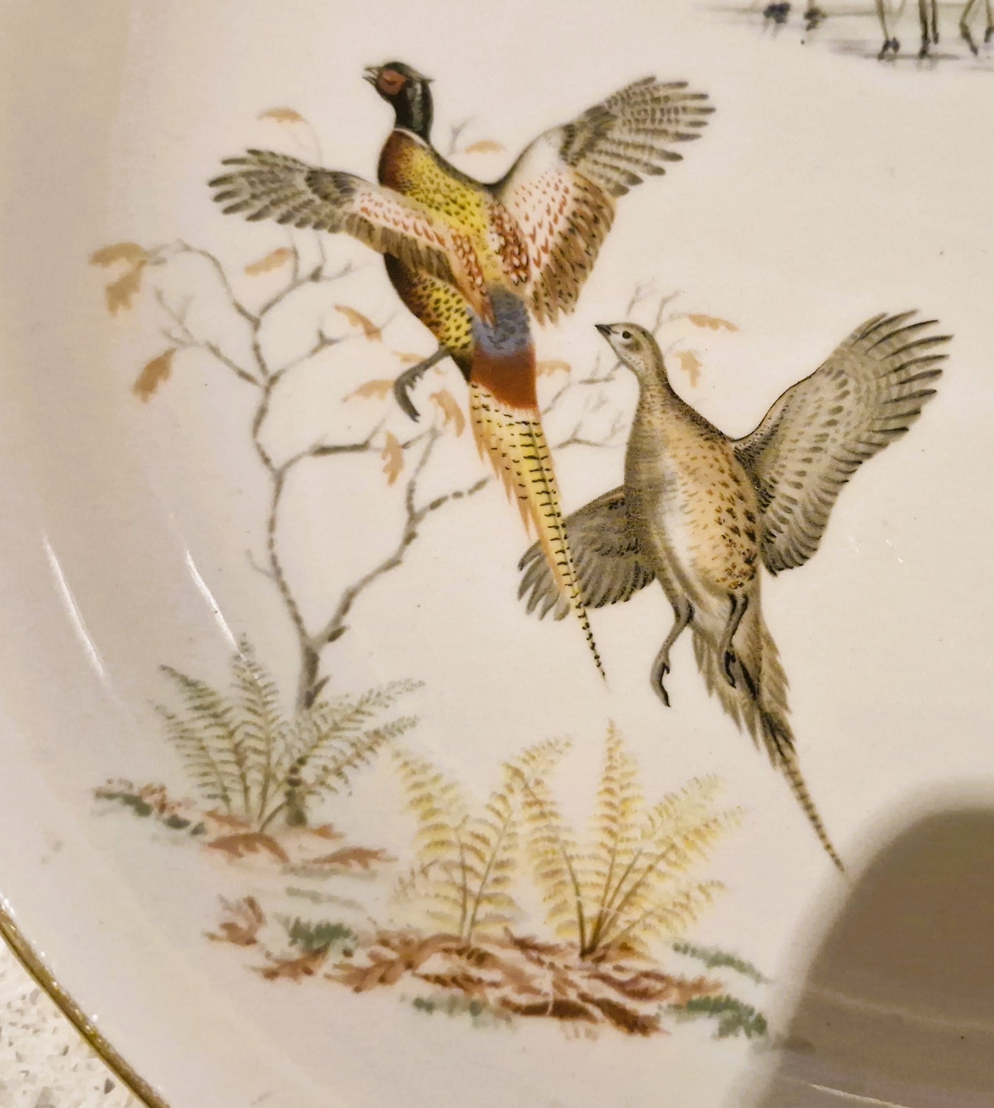 Wildfowl, Wild Ducks Plate, Pheasants, Britannia Designs, Dartmouth Pottery, England